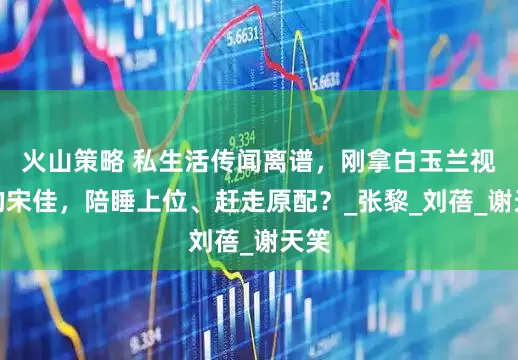 火山策略 私生活传闻离谱，刚拿白玉兰视后的宋佳，陪睡上位、赶走原配？_张黎_刘蓓_谢天笑