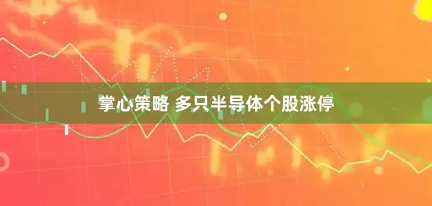 掌心策略 多只半导体个股涨停